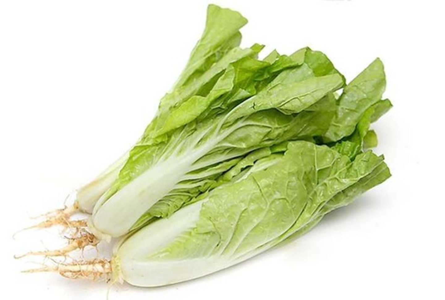 <p>baby bok choy (xiǎo báicài)</p>