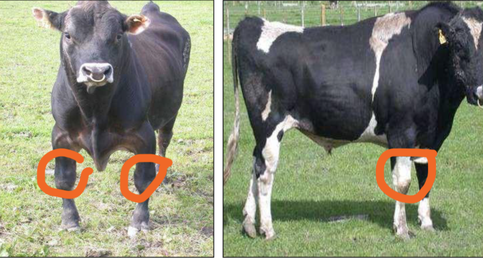 <p>what is this </p>