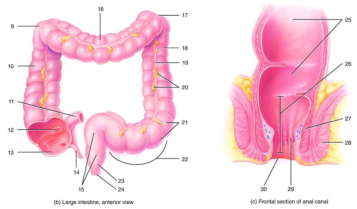 <ol start="22"><li><p></p></li></ol><p></p>