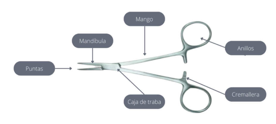 <p><em>PARTES DE UNA PINZA</em></p>
