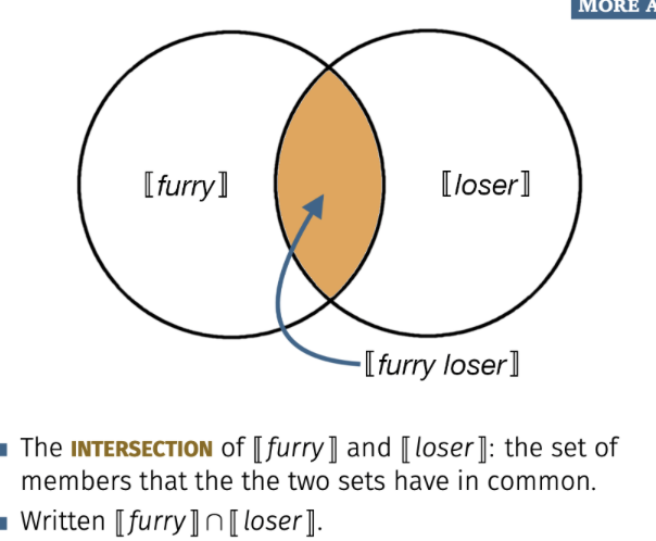 <p>the set of members that the the 2 sets have in common </p>