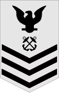 <p>One eagle above three chevrons</p>