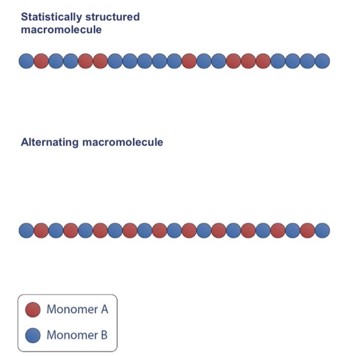<ul><li><p>Homo- : one type of monomer</p></li><li><p>Co- : multiple types of monomers (cf photo)</p></li></ul><p></p>