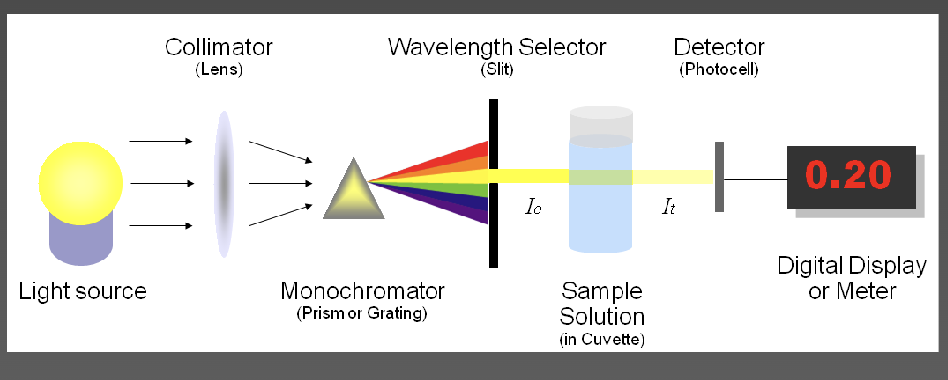 <p>used to measure light transmitted by a solution to determine concentration of the light-absorbing substance in solution</p>