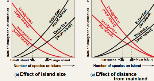 <p>Equilibrium reached at lower richness</p>