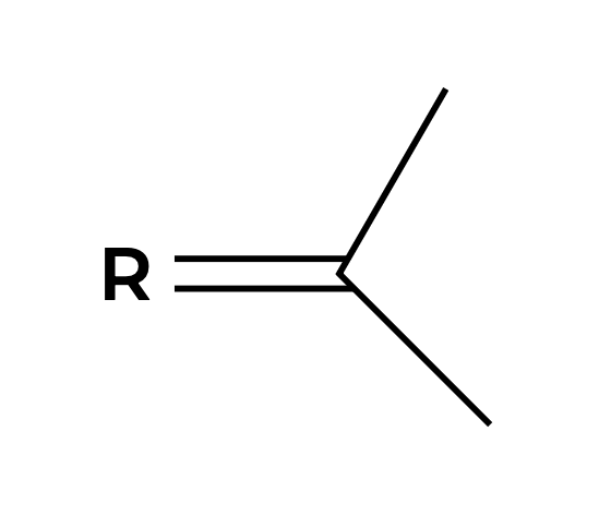 <p>Common name of this substituent?</p>