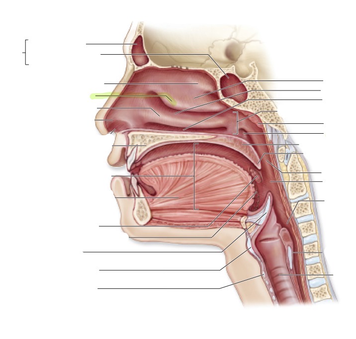 <p>what is this </p>