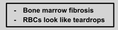 <p>fibrosis of bone marrow causes pancytopenia</p>
