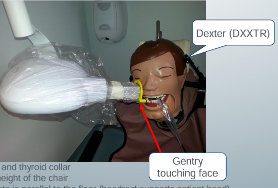 <p>-lead apron and thyroid collar</p><p>-adjust the height of the chair- maxillary images position chair lower</p><p>-occlusal plate parallel to the floor (headrest supports patient head)</p><p>-swing x-ray unit closer</p><p>-put the image receptor in XCP</p><p>-align the aiming cylinder of the x-ray unit</p>