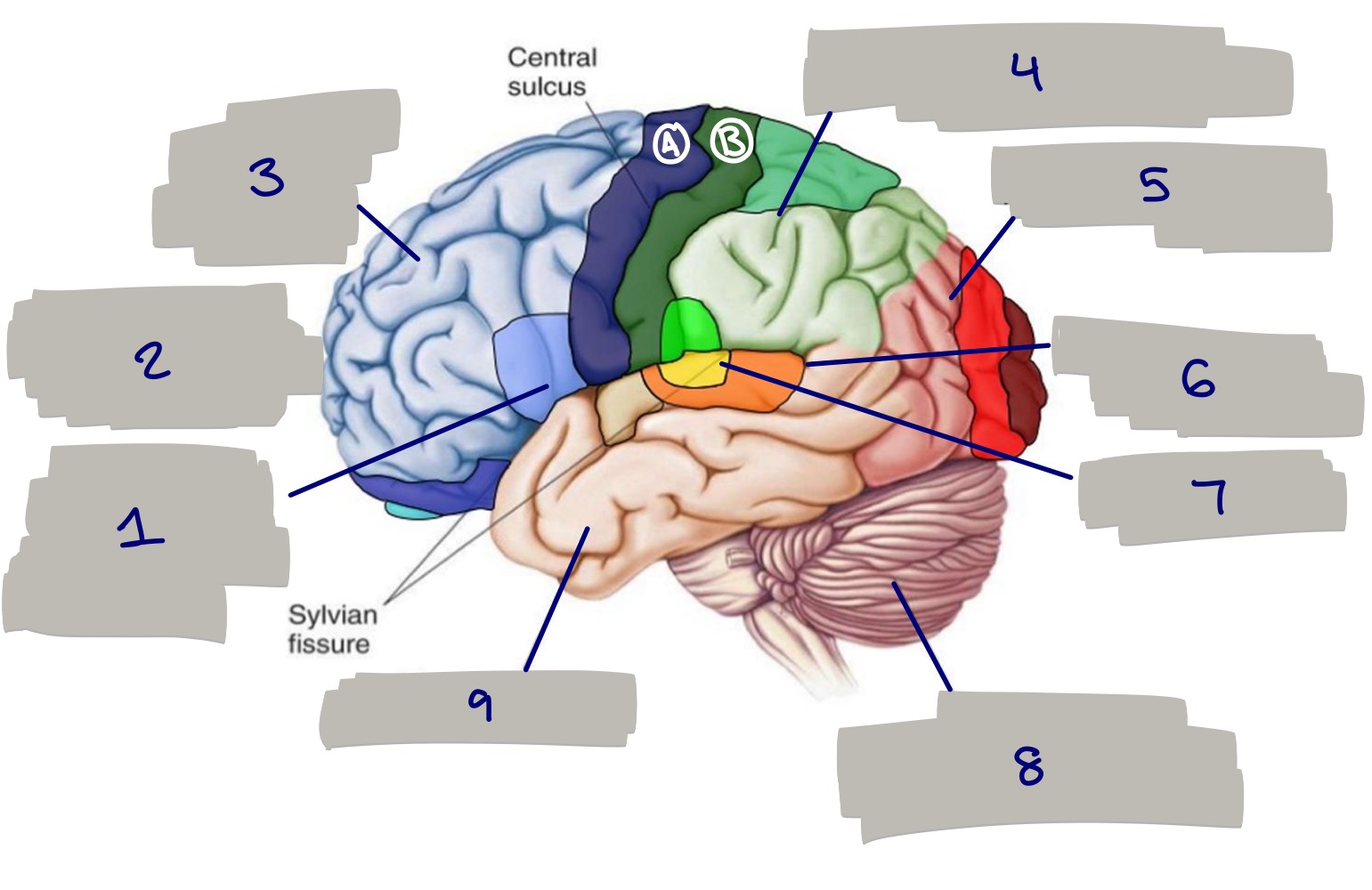 <p>What does B represent? What are its functions?</p>