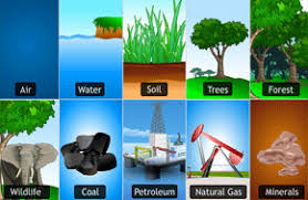 <p>a resource</p>