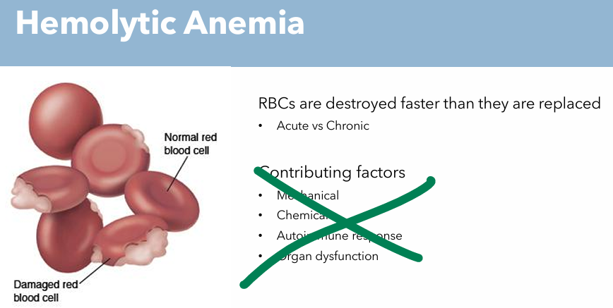 <p>RBCs are destroyed faster than they are replaced</p>