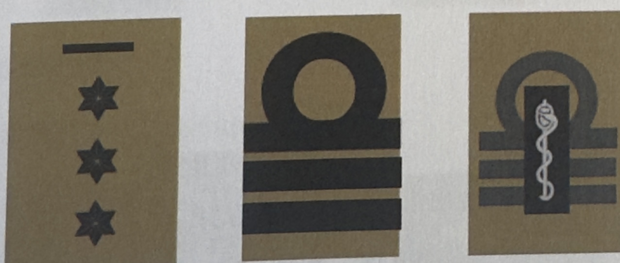 <p>Officiers subalternes 4/11</p>