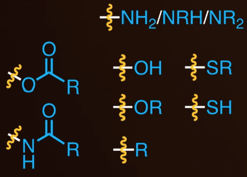 <p><span style="background-color: transparent;">Para will be more common due to ortho’s steric hindrance.</span></p>