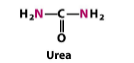 <p>A type of nitrogen excretion in which amino groups as urea (formed primarily in the mitochondria of the liver cells) are excreted. This conserves water. It is used in many terrestrial vertebrates and sharks.</p>