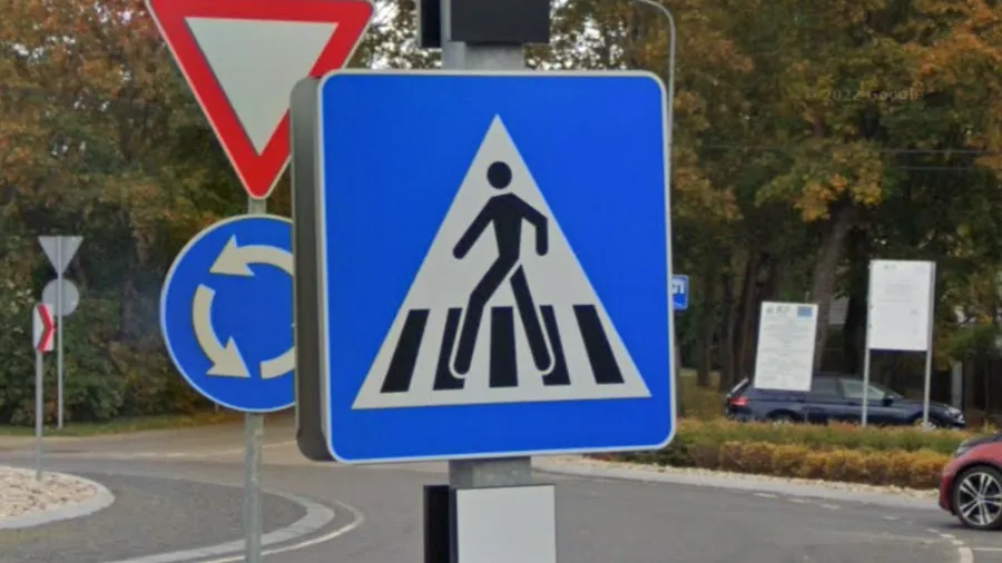 <p>Long legs</p>