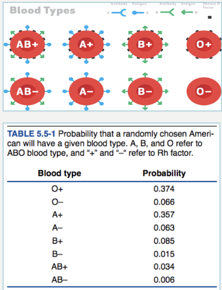 <p><strong>a) What is the probability of a person having type O?</strong></p><img src="https://assets.knowt.com/user-attachments/7e8e3e0b-e93a-422e-829a-c15aa1cf82da.png" data-width="50%" data-align="center" style="display: block; width: 50%; margin-left: auto; margin-right: auto;"><p><strong>b) What is the probability of a person having allele A?</strong></p><img src="https://assets.knowt.com/user-attachments/e3ced708-6c3f-4415-a015-00412ee131bb.png" data-width="75%" data-align="center" style="display: block; width: 75%; margin-left: auto; margin-right: auto;"><p></p>