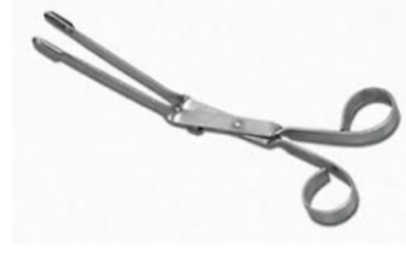 <p>Used to help administer a bolus orally to the sheep</p>