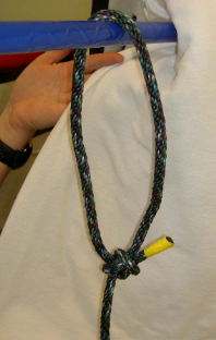 <p>what knot is it (Large Animal Knots and Ropes)</p>