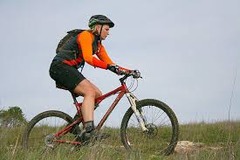<p>a bike</p>