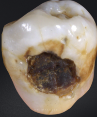 <p>What is the classification?</p>