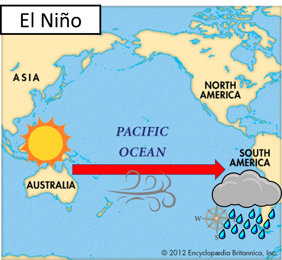 <p>usual winds reverse, blowing west→east</p><p><strong>australia:</strong> cold ocean waters, falling air leading to high pressure, low rainfall, drought &amp; wildfires</p><p><strong>peru &amp; south america:</strong> warm ocean waters, rising air leading to low pressure, high rainfall, storms &amp; flooding</p>