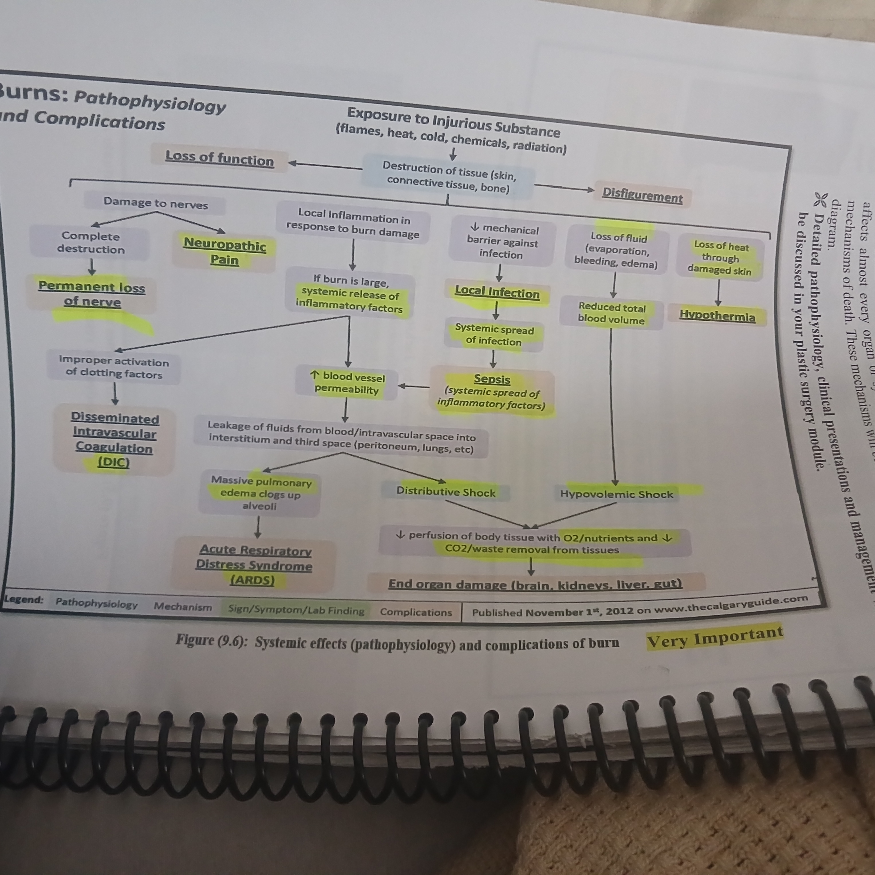 <p>• Loss of fluid → hypovolemic shock</p><p class="has-focus">• ↑ vascular permeability → fluid leakage → ARDS/pulmonary edema</p><p class="has-focus">• Local infection → sepsis → distributive shock</p><p class="has-focus">• DIC from clotting factor activation • Heat loss through skin → hypothermia</p><p class="has-focus">• Nerve damage → neuropathic pain or permanent loss</p><p class="has-focus">• End organ damage (brain, kidney, liver, gut)</p>