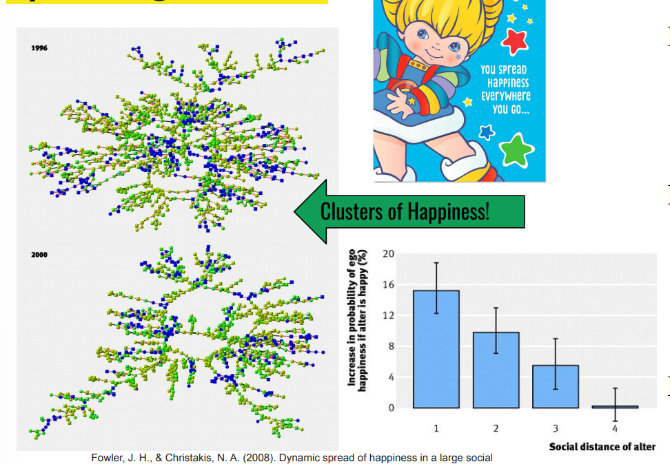 <ul><li><p>Framington Heart Study looked at over 5000 individuals from one town over 40 years </p></li><li><p>Examined ‘happiness’ component of Center for Epidemiological Studies Depression Scale </p></li><li><p>Larger clusters than chance</p></li></ul><p></p>