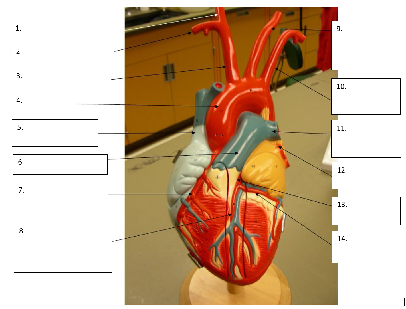 <p>14</p>