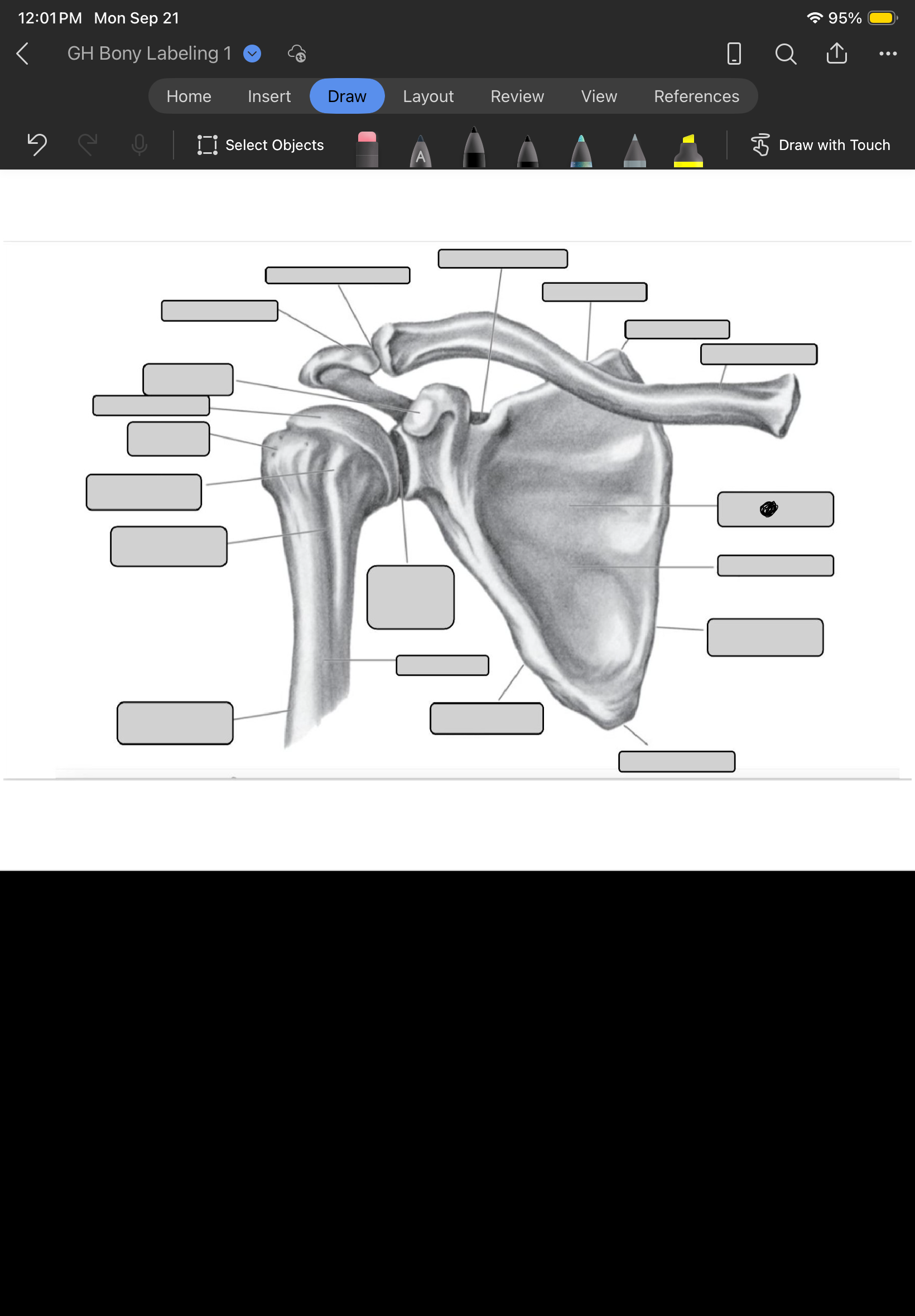 term image