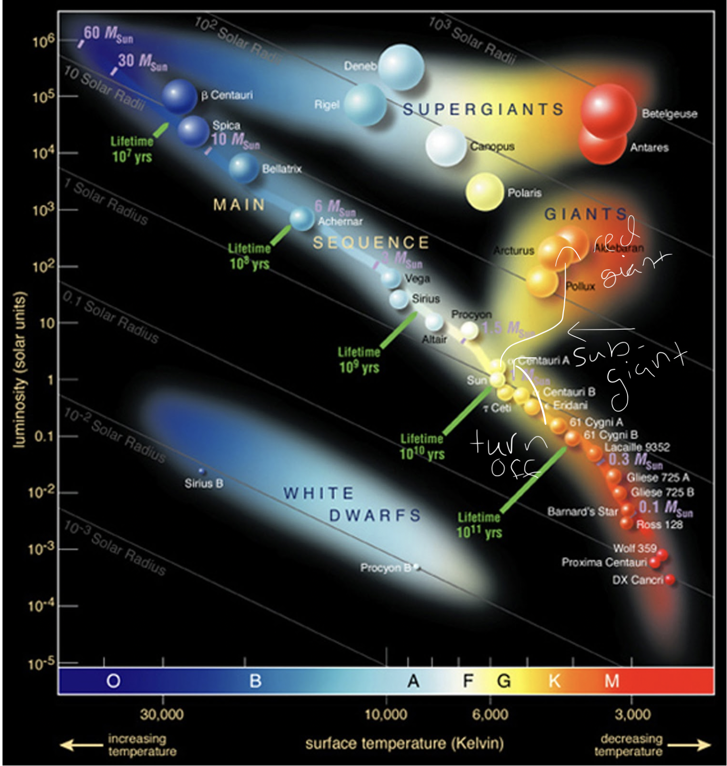 <p>1.) Inert helium core causes fusion to stop</p><p>2.) Initiates main sequence turn off (vertical)</p><p>3.) Outer layer eventually cools (moves right horizontally to the sub-giant branch)</p><p>4.) Hydrogen shell around the helim core causes burning and pushes outward (moves to red giant branch</p>