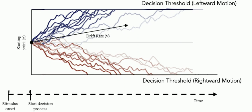 <p><strong>overview:</strong></p><ul><li><p>popular form of evidence accumulation model</p></li><li><p>used to predict peoples’ choices and how long they take to make those choices</p></li></ul><p><strong>graph</strong></p><ul><li><p><u>x-axis</u> → time</p></li><li><p>each line (blue and red lines) represents one trial: a decision that you might be making</p><ul><li><p>lines also indicate the amount of evidence you have towards a motion decision</p></li></ul></li><li><p>each of the two decision you could make are the top and bottom line</p></li><li><p><u>middle line</u>: decision threshold</p></li></ul><p><strong>reading the graph</strong></p><ul><li><p>start in the middle</p></li><li><p>stimulus comes on → you’ll see bits of motion come into your visual system</p></li><li><p>gonna start accumulating evidence towards a left-ward or right-ward motion decision</p></li><li><p>once you cross horizontal line → mean you have passed decision threshold (have enough evidence to make decision)</p></li></ul><p><strong>analysis</strong></p><ul><li><p>the steepness of the line tells you how fast or slow the decision making process was</p></li><li><p>NOT ALL DECISIONS ARE THE SAME</p></li></ul><p></p>