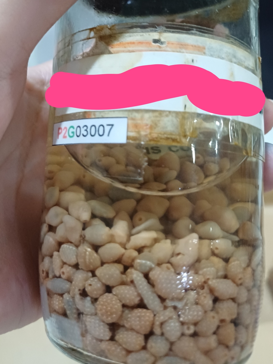 <p>Identification:</p><p>Common name:</p><p>Organ loc:</p><p>Intermediate Host:</p><p>Definitive Host:</p><p>Family:</p>