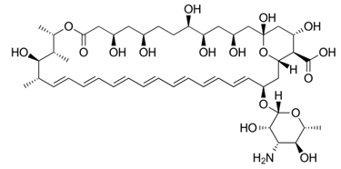 <p>[ANTIFUNGAL DRUGS]</p><p>a. Amphotericin B</p><p>b. Nystatin</p><p>c. Natamycin</p><p>d. Ketoconazole</p><p>e. Itraconazole</p><p>f. Fluconazole</p><p>g. Posaconazole</p><p>h.  Voriconazole</p>