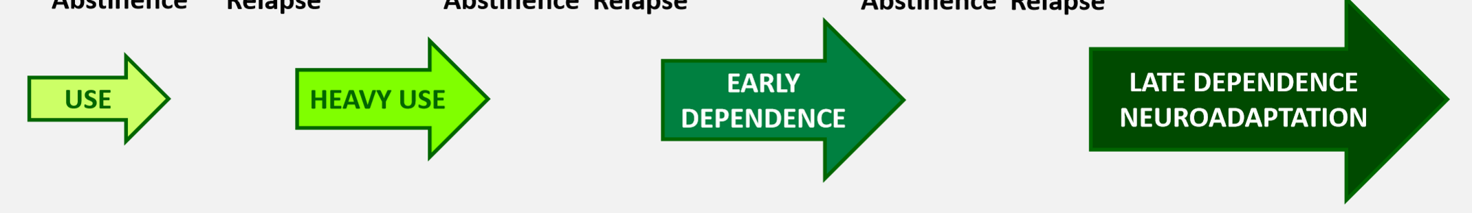 <p>use → heavy use → early dependence → late dependence/neurodevelopment</p>