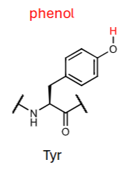 <p>phenol pKa?</p>