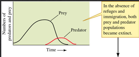 <p>Gause used <em>Paramecium</em> as prey in controlled lab cultures to test the model's predictions. </p><p>The result in simple lab environments: <strong>predators drove prey to extinction, then went extinct themselves</strong> — no sustained oscillations. This contradicts the model's prediction of perpetual coexistence. </p><p>The lab was too simple; it lacked the spatial structure and refuges that real ecosystems have.</p>