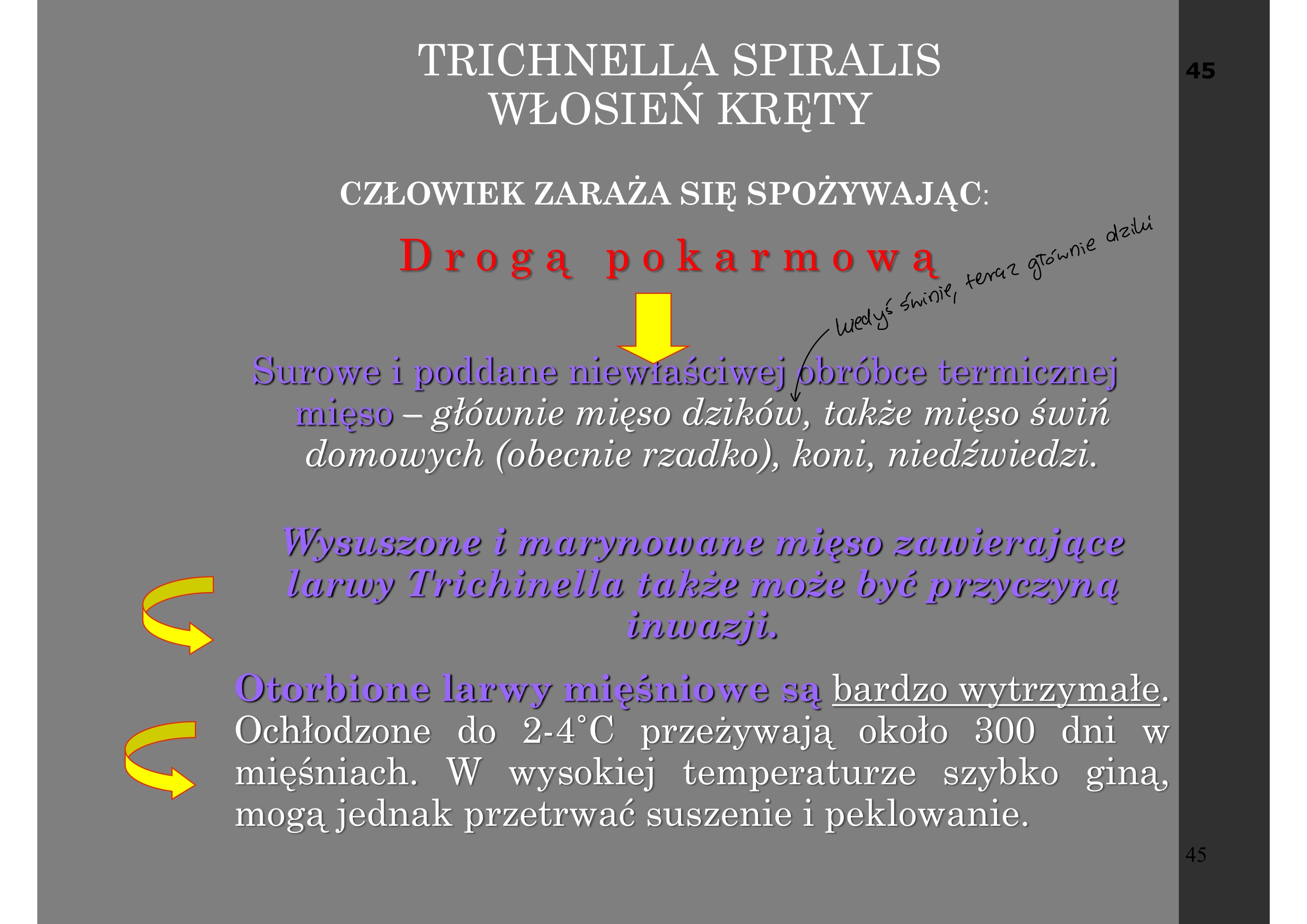 <ul><li><p>w UE oboawiązkowo mięso badane metodą otrawiania</p></li></ul><p></p>