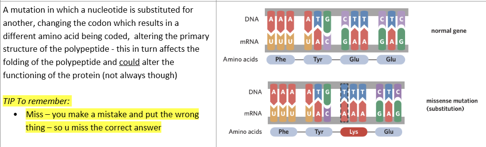 knowt flashcard image