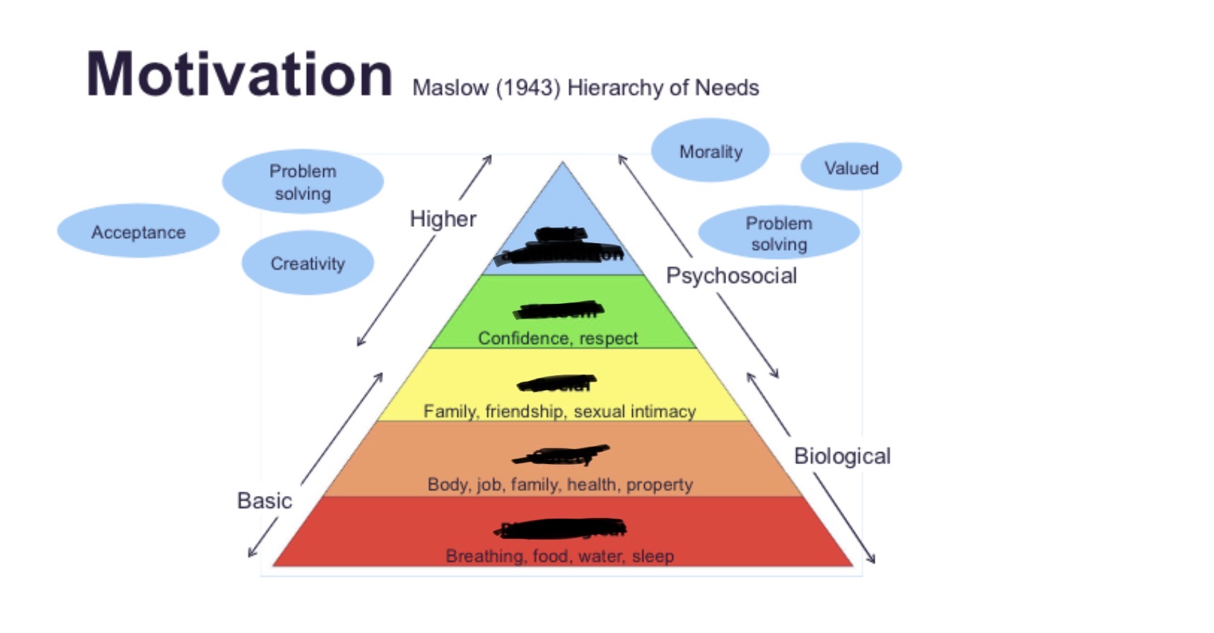 <p>hierarchy of needs </p>