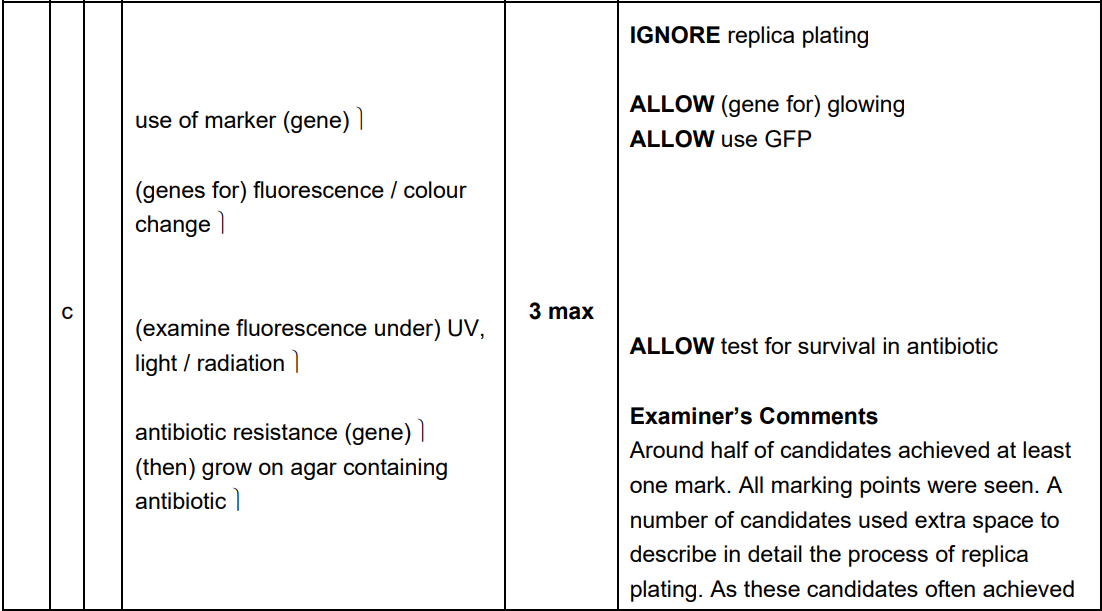 <ul><li><p><span style="line-height: 1.15;"><strong>Marker Genes (1 Mark)</strong>: The plasmid used as a vector contains a <strong>marker gene</strong>, such as a gene for <strong>antibiotic resistance</strong> or a fluorescent protein</span><span>.</span></p><p></p></li><li><p></p><p><span style="line-height: 1.15;"><strong>Selective Growth (1 Mark)</strong>: The bacteria are grown on an agar medium containing the specific <strong>antibiotic</strong></span><span>.</span></p><p></p></li><li><p></p><p><span style="line-height: 1.15;"><strong>Survival/Identification (1 Mark)</strong>: Only the <strong>transformed bacteria</strong> that have successfully taken up the plasmid will possess the resistance gene and survive to form colonies; those not transformed will die</span><span>.</span></p><p></p></li></ul><p></p>