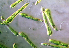 <p>What is this?</p>