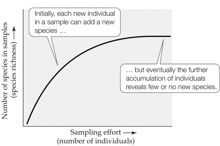 <p>Species accumulation curves </p>