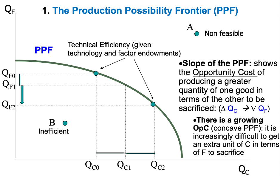 <p><span>The Production Possibilities Frontier shows all combinations of Clothing and Food a country can produce given its technology and factor endowments.</span></p><p><span>Its slope is the opportunity cost of producing more Clothing in terms of Food sacrificed</span></p><p><span> (∆QC → ∇QF).</span></p>