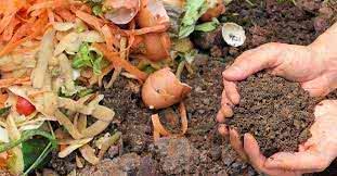 <p>compost (n)</p>