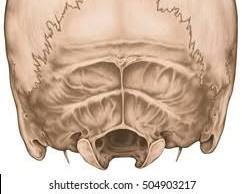 <p>What is this pointing to? What bone is it on?</p>