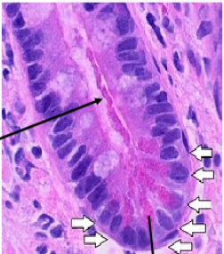 <p>Slide 10</p>