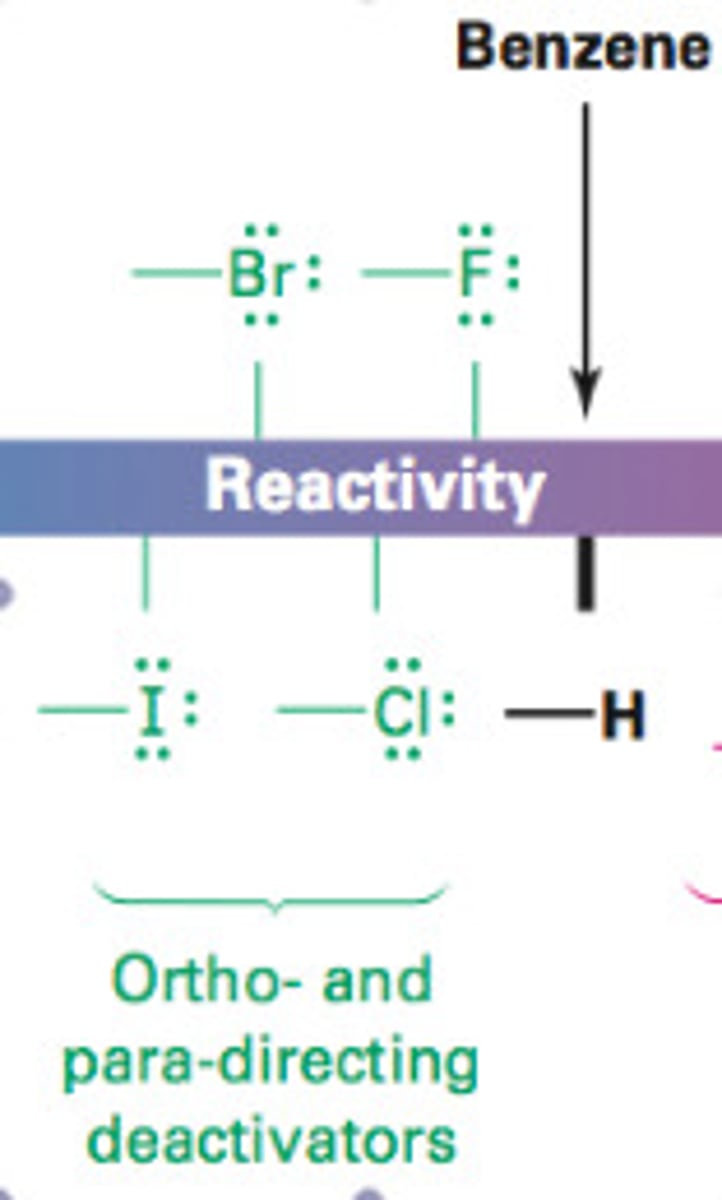 <p>They withdraw by induction but donate by resonance.</p>