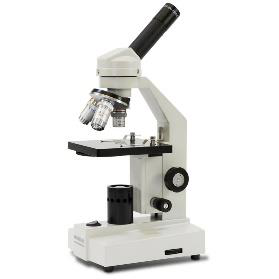 <p>Microscope</p>