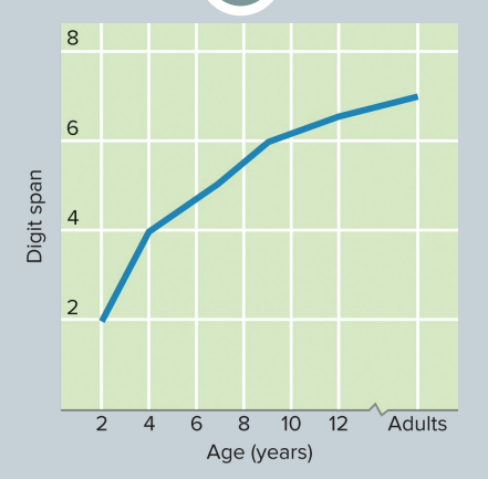 <p>In one study, from 2 to 7 years of age children’s memory span increased from two digits to five digits (Dempster, 1981). Between 7 and 13 years of age, memory span had increased on average only another two digits to seven digits.</p>